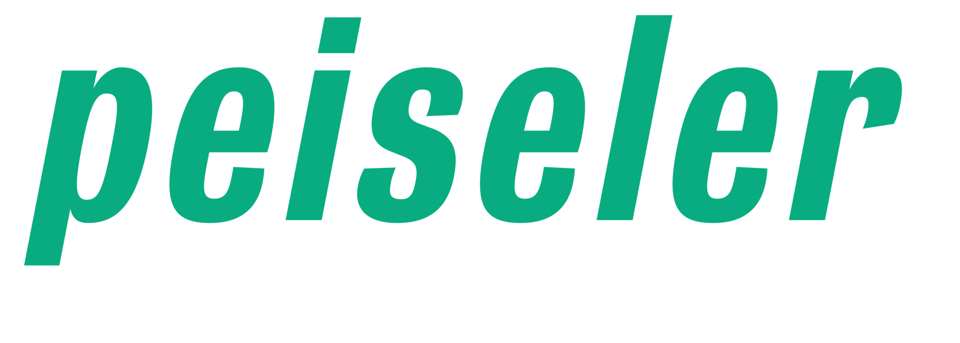 Beteiligung: PEISELER GmbH & Co. KG