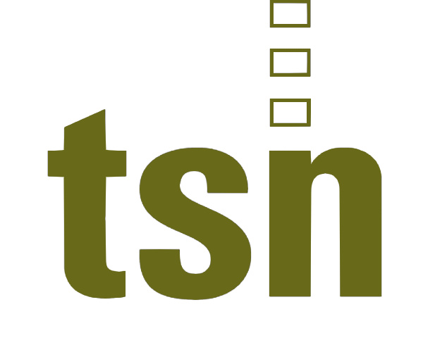 Logo der TSN Turmbau Steffens & Nölle GmbH